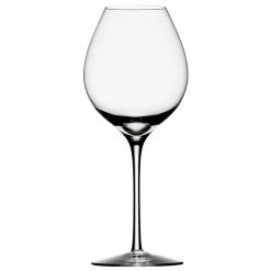 Orrefors Oreffor Difference Fruit Wine Glass