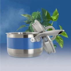 Chantal 2.5 Qt. Pouring Saucepan W/ Strainer Glass Lid & Blue Cove Band