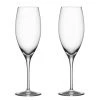 Orrefors Premier 10 Oz. Champagne/Flute Stemware, Set Of 2, 9 1/16" X 2 3/4", Clear