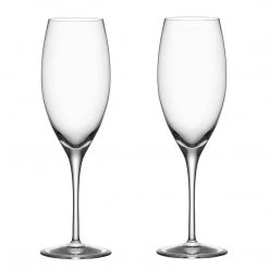 Orrefors Premier 10 Oz. Champagne/Flute Stemware, Set Of 2, 9 1/16" X 2 3/4", Clear
