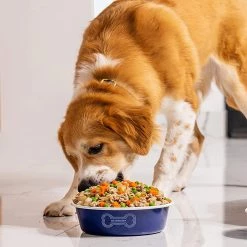 Le Creuset 4 Cup Medium Dog Bowl - Orange 15 Le Creuset 4 Cup Medium Dog Bowl - Orange