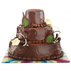 Lekue Surprise Tiered Cake Kit 17 Lekue Surprise Tiered Cake Kit