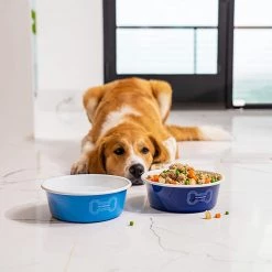 Le Creuset 4 Cup Medium Dog Bowl - Red HOME