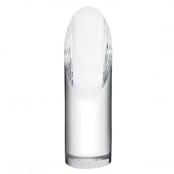 BRANDS Orrefors Concord Award, Large