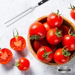 Cuisine::pro Wolfgang Starke Carving Fork 17Cm