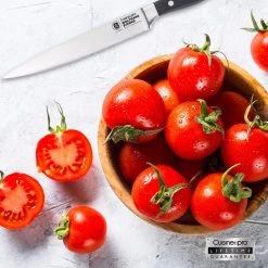 Cuisine::pro Wolfgang Starke Carving Knife 20Cm