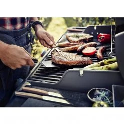 CUTLERY Victorinox Carving, Swiss Modern, 6