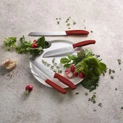 Victorinox Swiss Classic, 2-Piece Carving Set (8