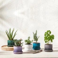 LeCreuset Le Creuset Herb Planter - White