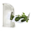 COOKWARE Rsvp Fresh Herb Keeper